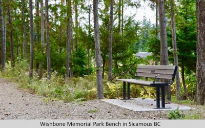 Wishbone Memorial Larson Park Bench with Armrests in Sicamous BC